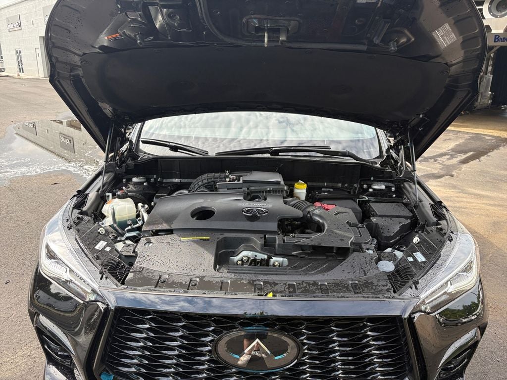 2023 INFINITI QX50 SPORT