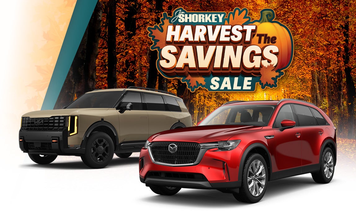 Jim Shorkey Auto Group Georgia in Gainesville GA