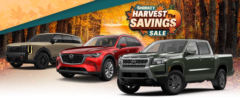 Jim Shorkey Auto Group Georgia in Gainesville GA